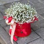 Небольшой букет из белых гипсофил в красной коробке.